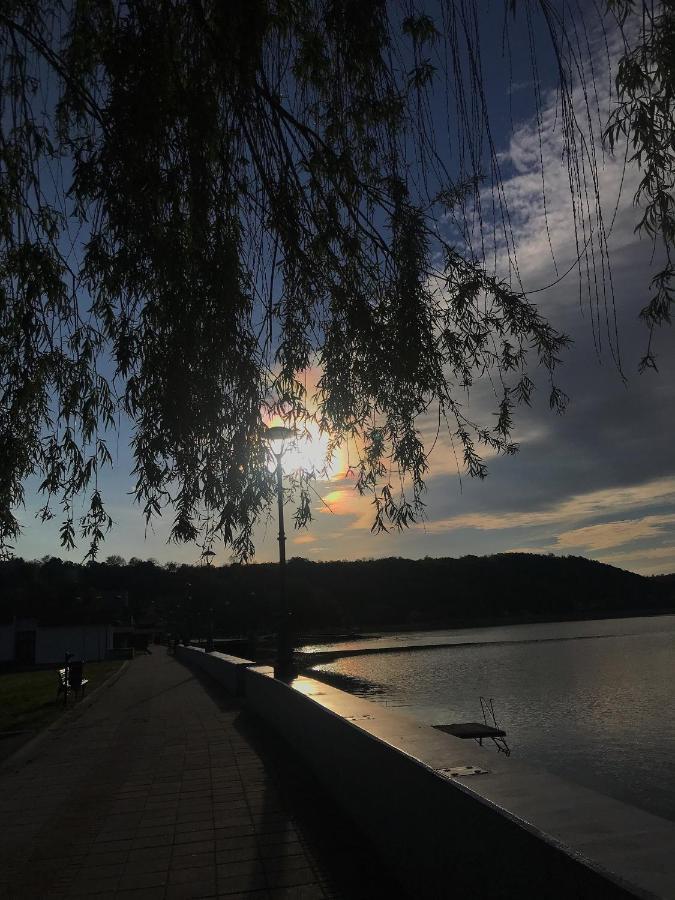 Apartman Studio Milojkovic Golubac Exterior foto