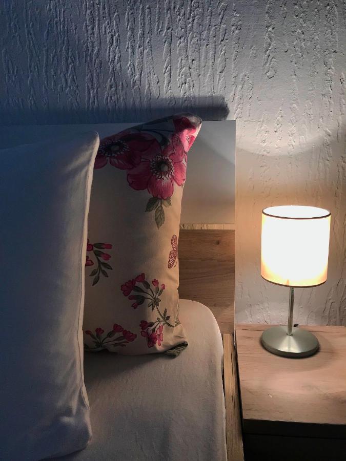 Apartman Studio Milojkovic Golubac Exterior foto